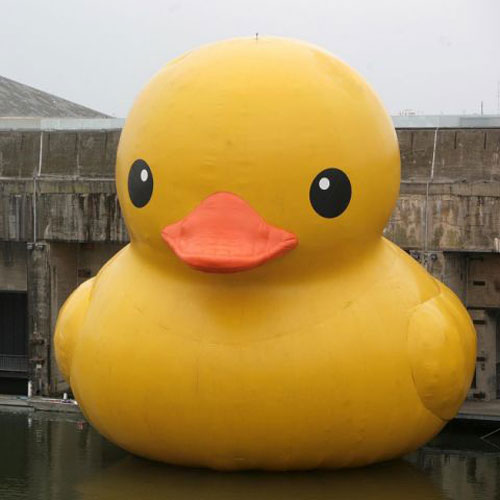 Giant Duckie
